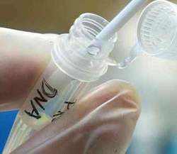Genetic Testing